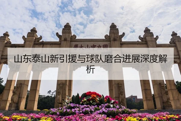 山东泰山新引援与球队磨合进展深度解析